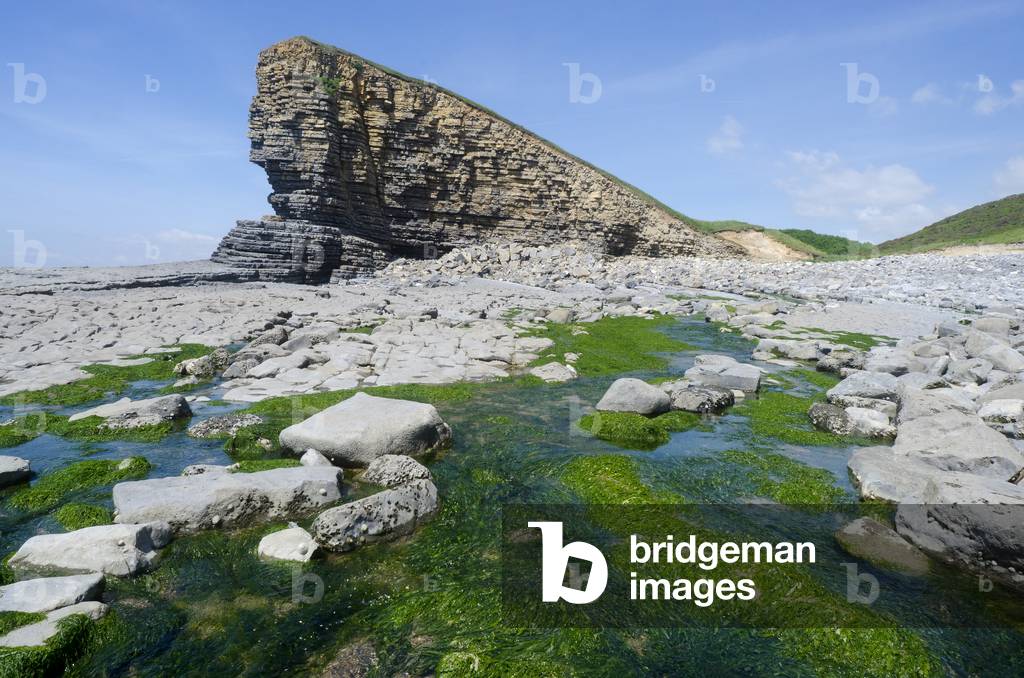 Glamorgan Heritage Coast: Liassic Limestone and Shale Seacliffs, Nash Point, Vale of Glamorgan, West of Llantwit Major, South Wales, UK (photo)