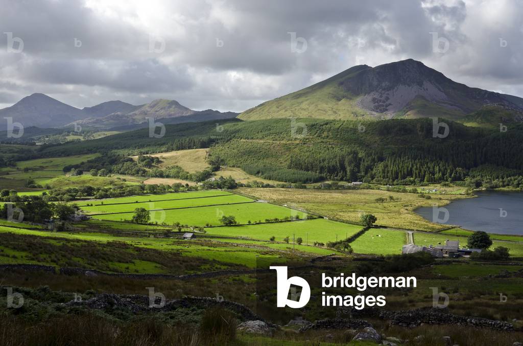Snowdonia National Park: Edge of Llyn Cwellyn, Rhyd Ddu and Nantlle Ridge from Western slopes of Mount Snowdon
Gwynedd, North Wales, UK (photo)