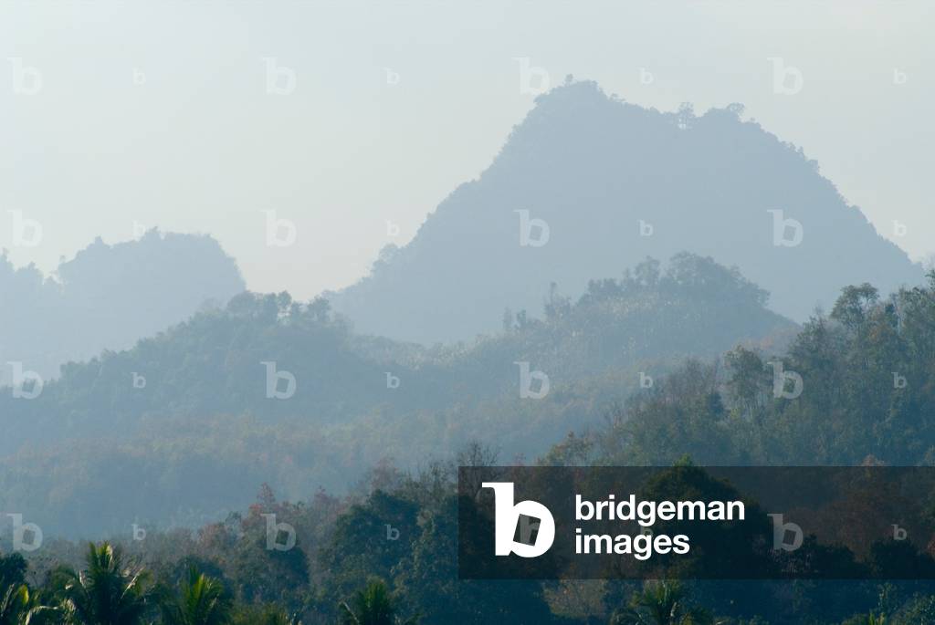 Tropical montane rainforest in sunrise morning mist (photo)