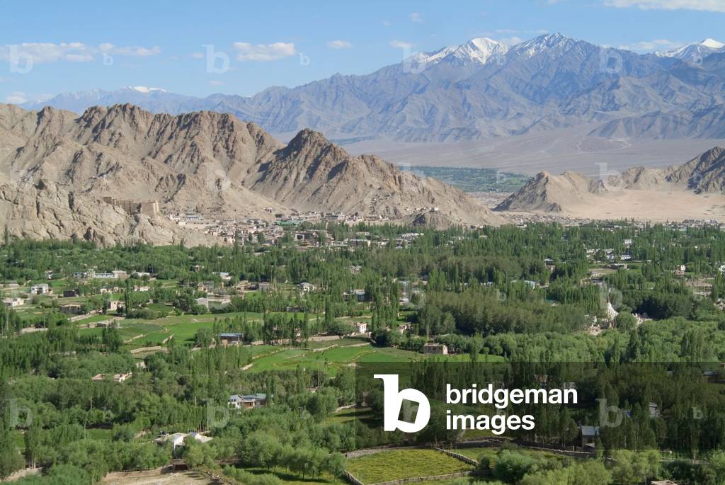 General view of Leh (Capital of Ladakh), fields and copses (Salix and populus spp.) on outskirts of town, Indus Valley & snowcappped Zanskar Range in bckgnd. Leh, Himalayas, Jammu and Kashmir, India (photo)