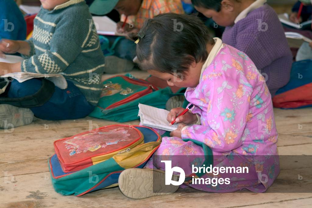 Ladakhi schoolgirl writing into exercise book during lesson in Manjushri Model School, Sakti, Ladakh, India (photo)