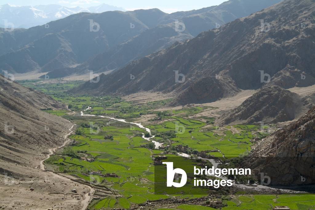 View of the Sakti valley, Ladakh, India (photo)