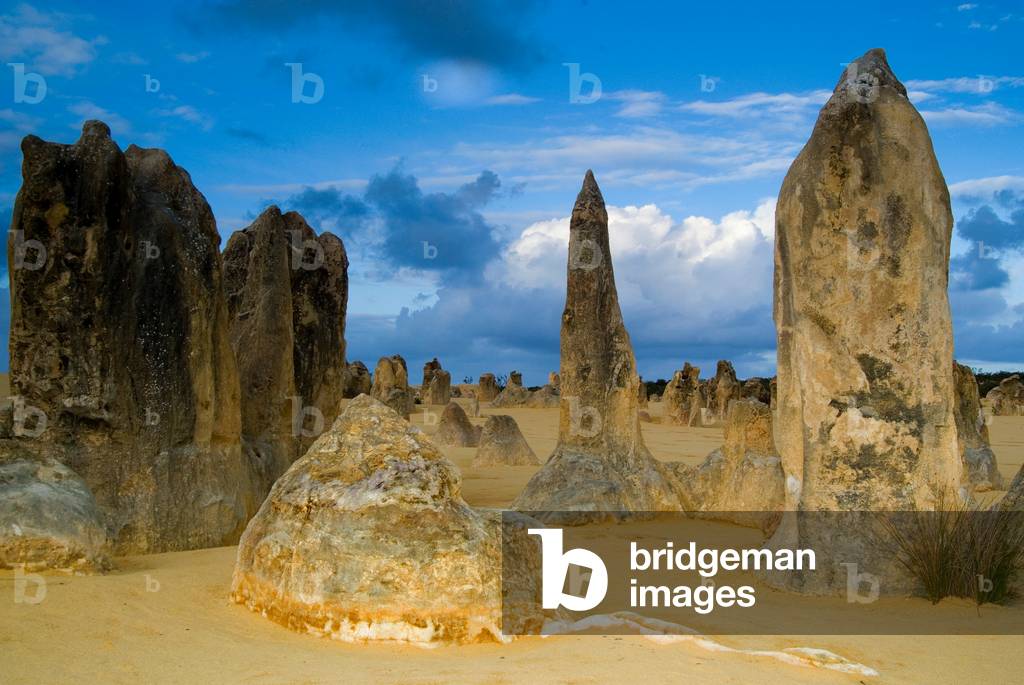 Limestone column formations in desert Pinnacles Desert, Nambung National Park, nr. Cervantes Western Australia (photo)
