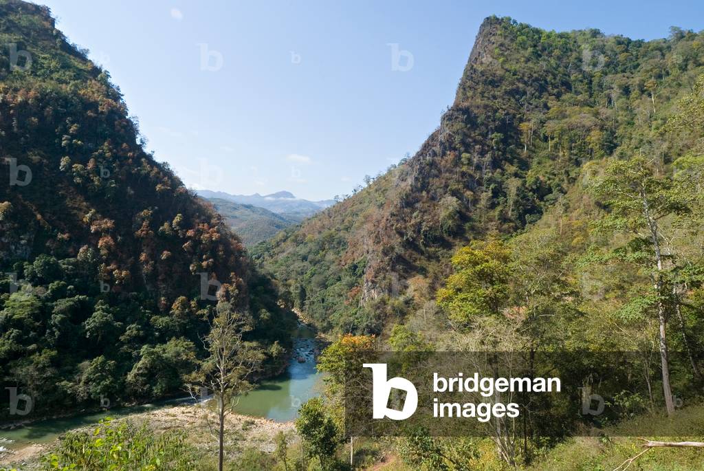 Montane tropical forest (rainforest) along Nam Mat river gorge in the Annamite Range,
nr. Keobon, Nonghet District, Xieng Khouang Province, Laos, Southeast Asia