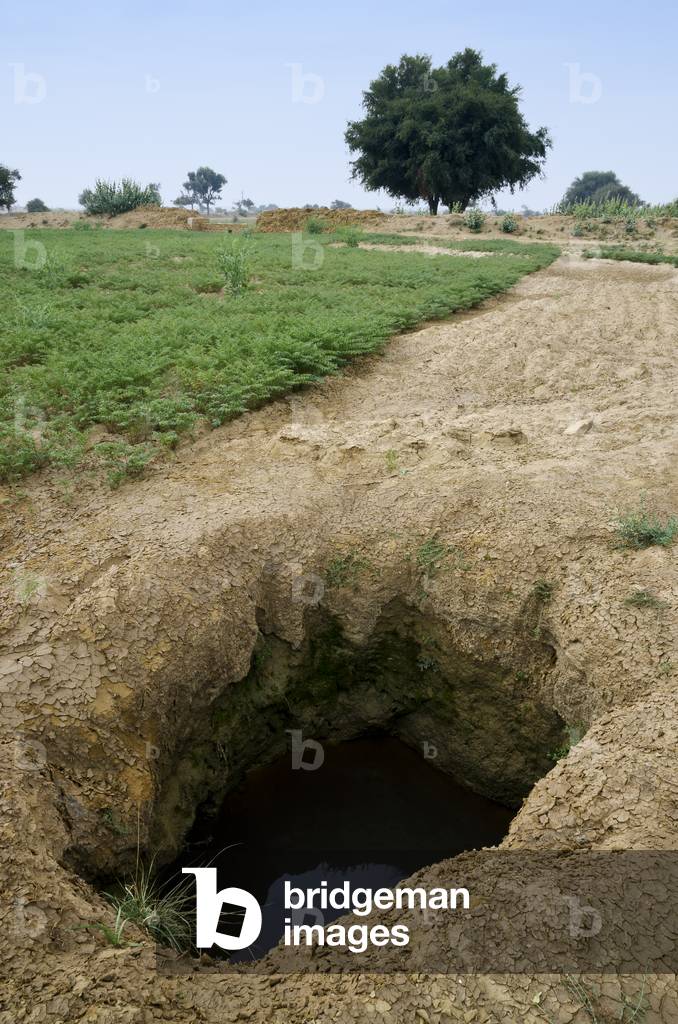 Desert agriculture & rainwater harvesting: Crude well on edge of chickpea field, Thar Desert, Rajasthan, India (photo)