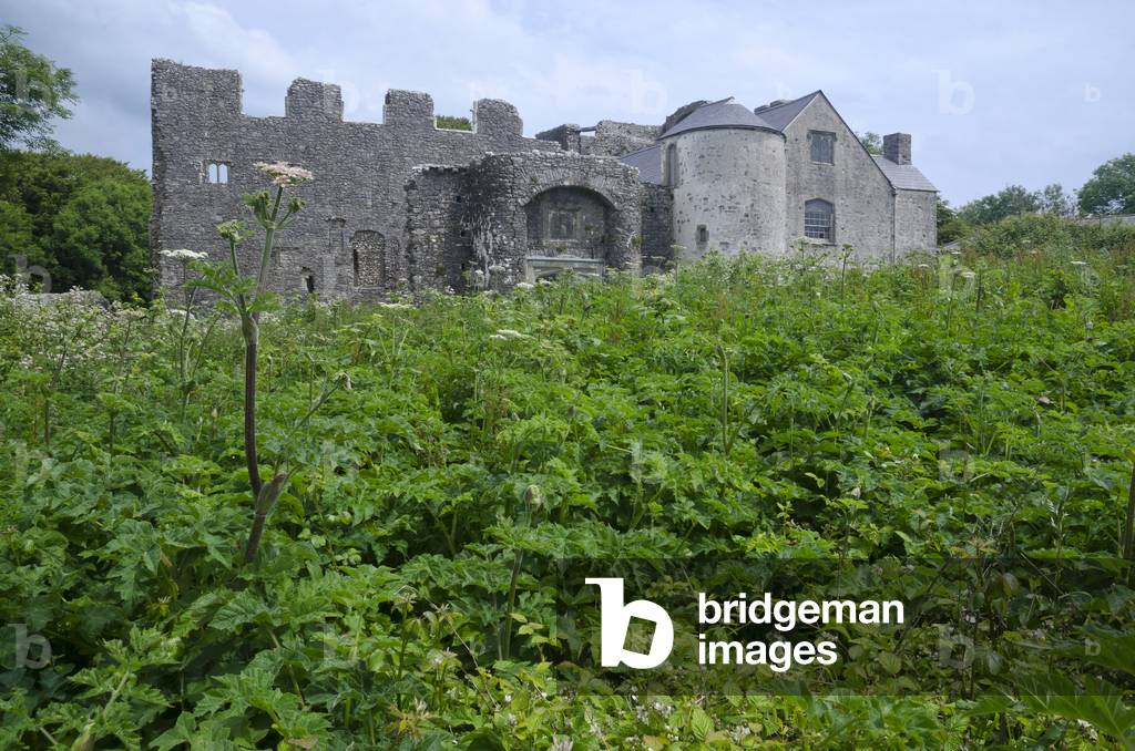 Oxwich Castle (16th century Tudor manor house), Gower, South Wales, United Kingdom, 2020 (photo)