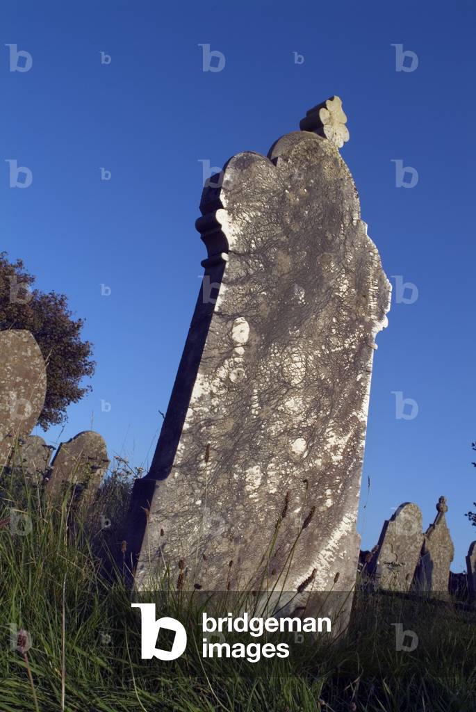 Gravestone in rural cemetery, near Upper Cwmtwrch, South Wales, United Kingdom (photo)
