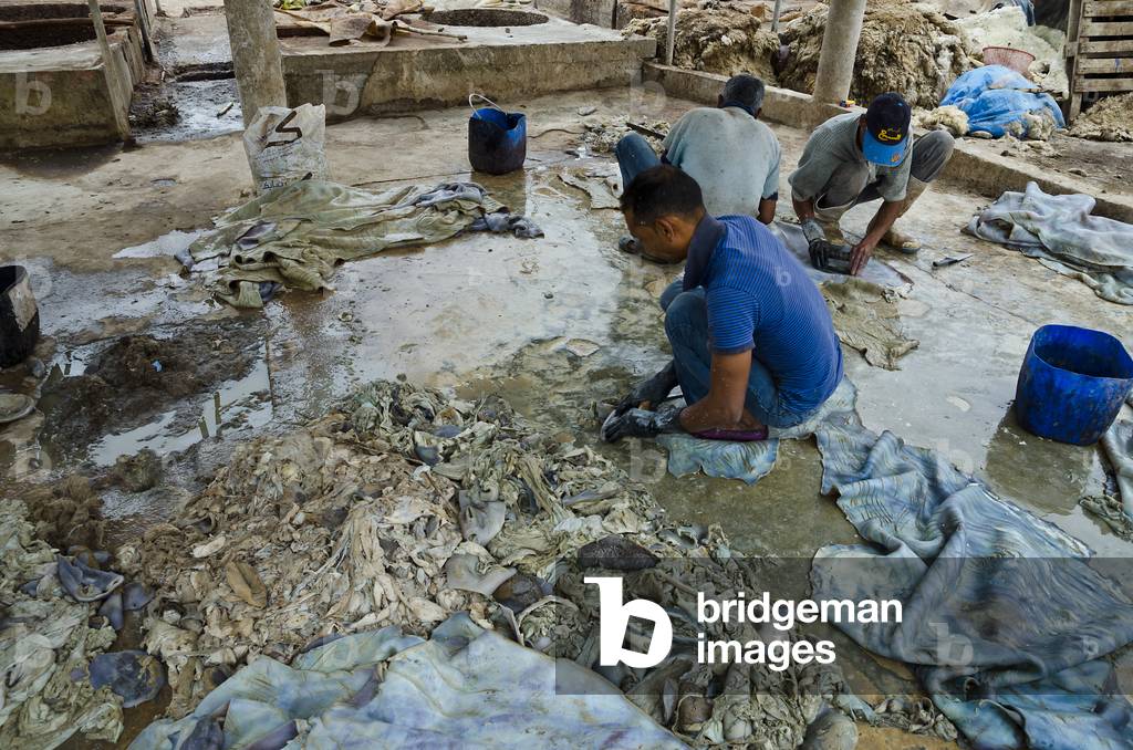 Traditional Moroccan tannery: Men scraping tissues, grease & fats from animal skins, Taroudant, Souss-Massa-Draa Region, Morocco (photo)