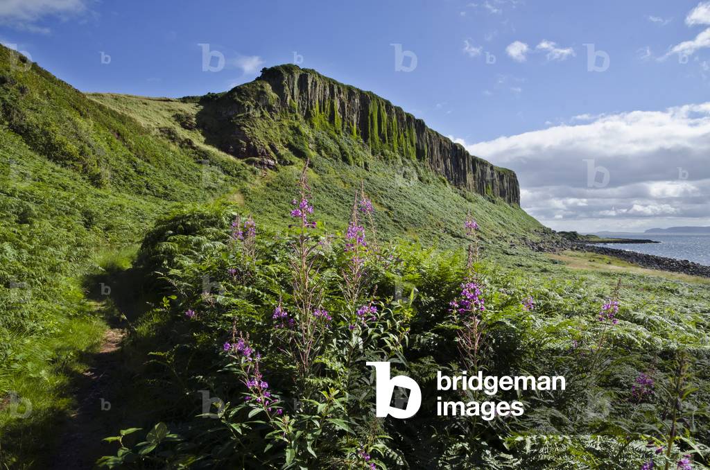 Drumadoon Point - the columnar basalt cliffs and geological sill of 'The Doon'
Isle of Arran, Scotland, UK (photo)