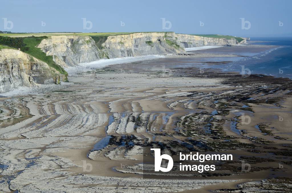 Glamorgan Heritage Coast: Blue Lias Limestone and Shale Sea Cliffs, Vale of Glamorgan, South Wales, UK (photo)