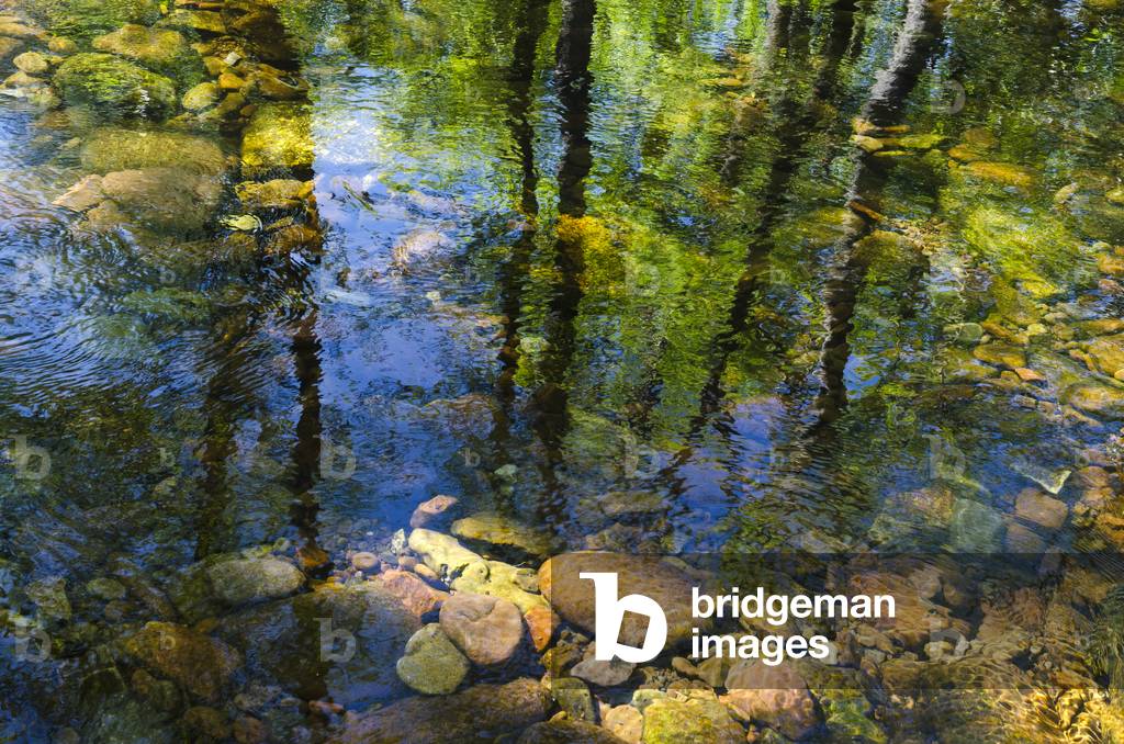 Woodland tree reflections in water flowing over stony riverbed, River Mellte, nr. Ystradfellte, Brecon Beacons National Park, Powys, South Wales, UK (photo)