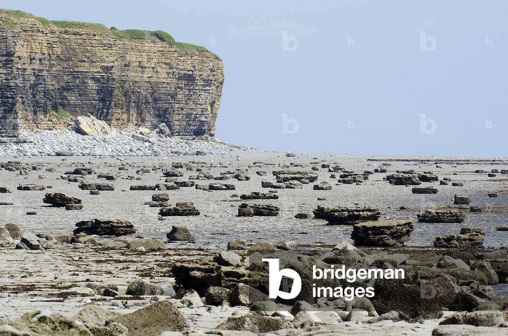 Glamorgan Heritage Coast: Liassic Limestone and Shale Seacliffs, Nash Point, Vale of Glamorgan, West of Llantwit Major, South Wales, UK (photo)