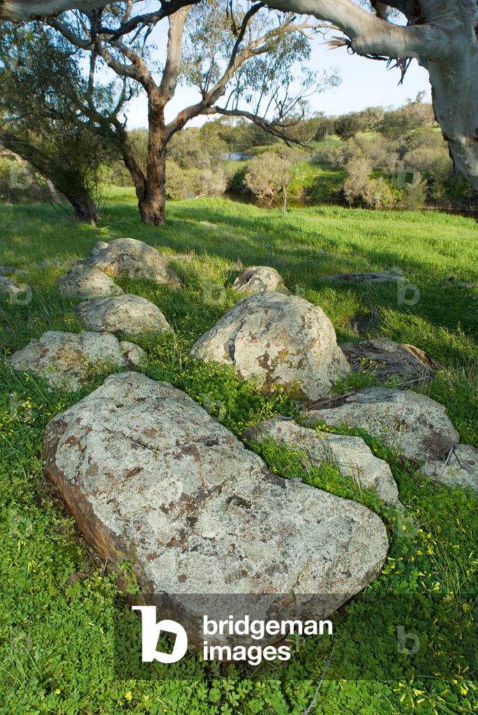 Granite birthing stones ('boya')  in old Noongar (aka. Nyoongar) Aboriginal settlement on green river plain Avon River, nr. Northam, Western Australia (photo)