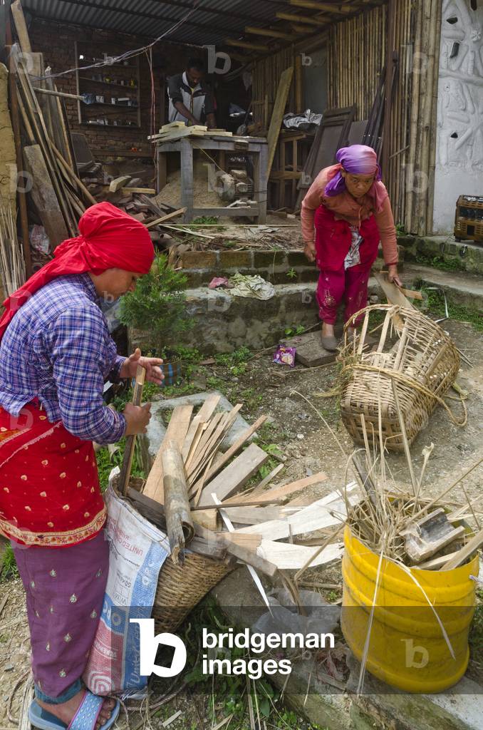Nepali village woman collecting timber cutoffs for firewood from carpentry workshop, Kahare, Chalnakhel, Kathmandu Valley, Nepal (photo)