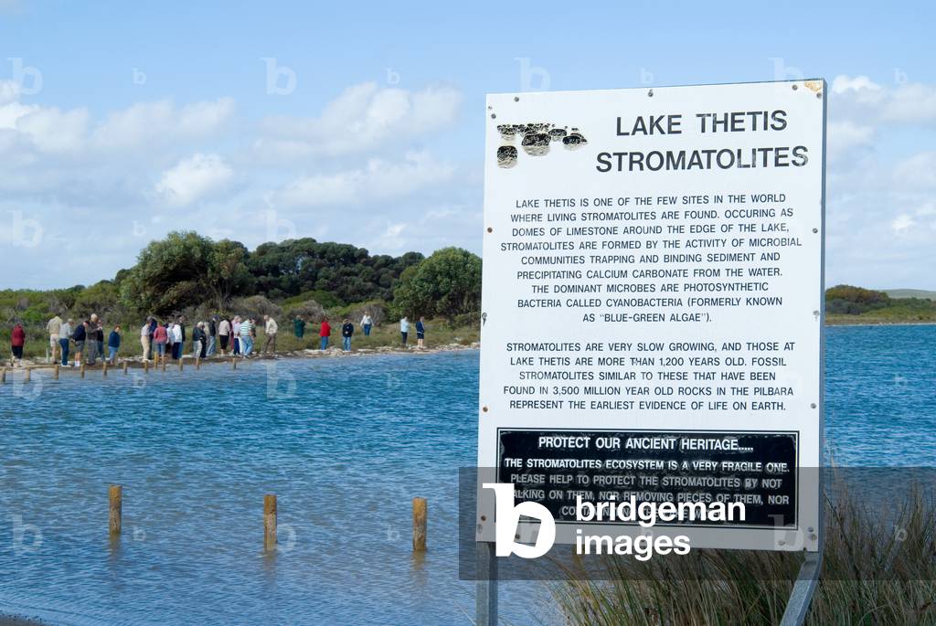 Line of tourists walking along lake edge behind 