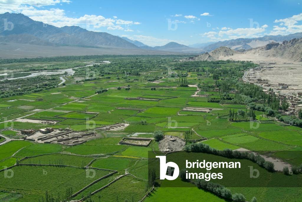 Aerial view of Indus River Valley, fertile fields, high-altitude desert edge between Thiksey & Shey, Ladakh, Himalayas, Jammu and Kashmir, India (photo)
