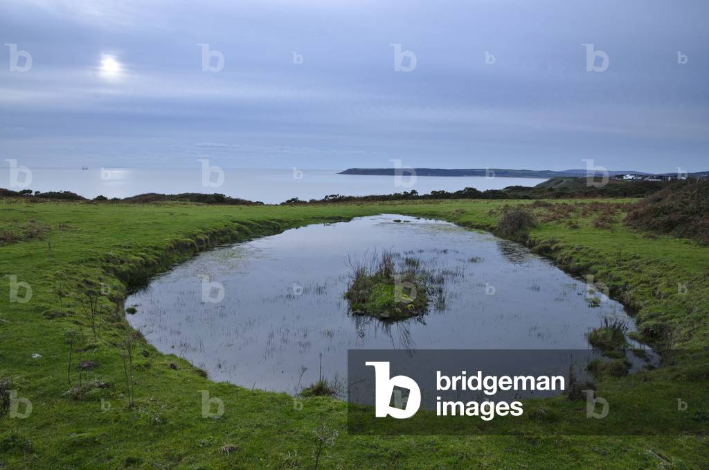 Rainwater pond on coastal field overlooking Bristol Channel, Gower, South Wales, United Kingdom, 2020 (photo)