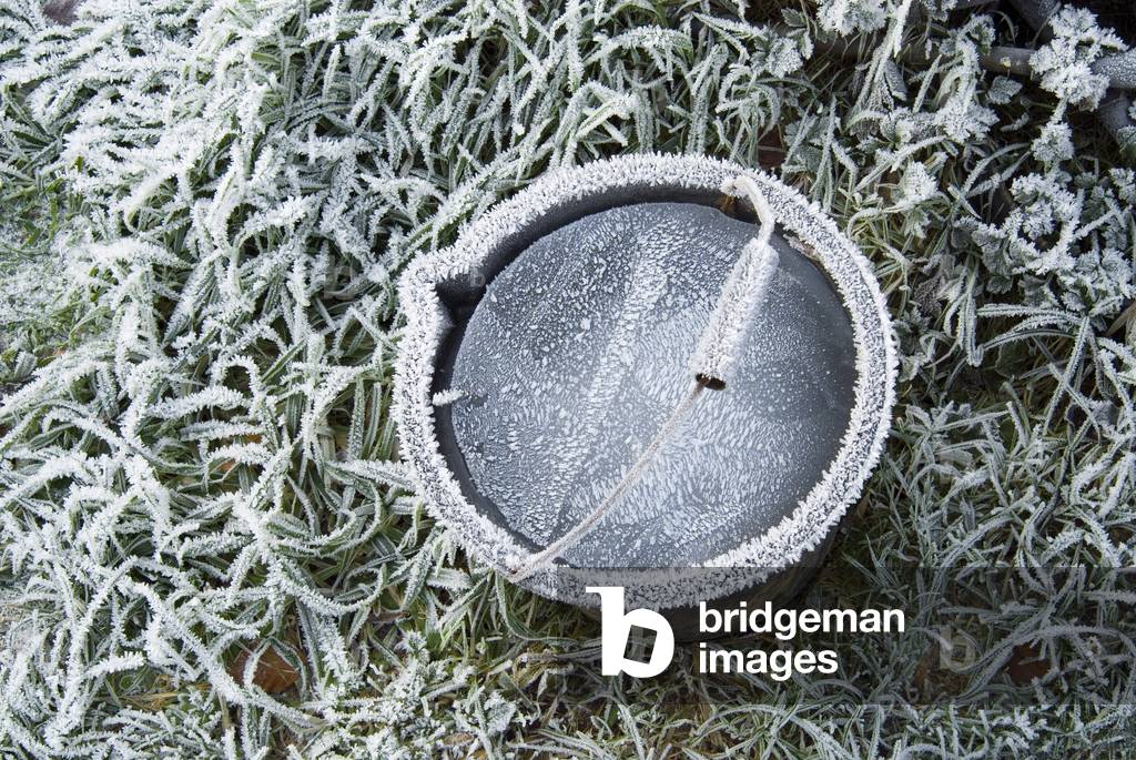 Hoarfost: Frozen water in bucket on grass, Bishops Wood, Murton, Gower, South Wales, UK (photo)