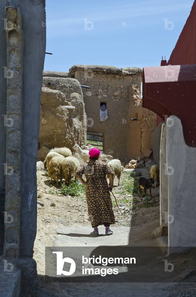 Berber woman herding sheep & goats through  mountain village, Riad, High Atlas Mountains, Taroudant Province, Morocco (photo)