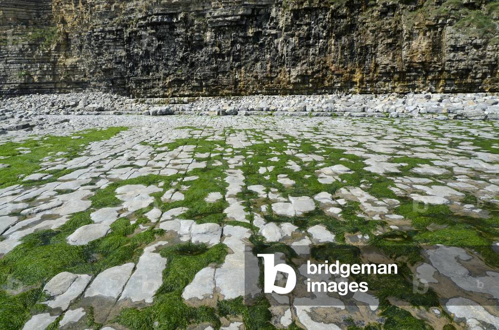 Glamorgan Heritage Coast: Low-tide, near Nash Point, Vale of Glamorgan, West of Llantwit Major, South Wales, UK (photo)