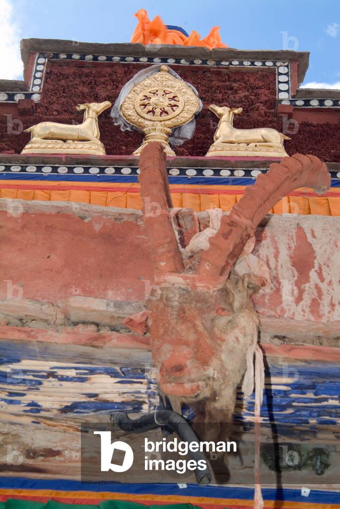 Tibetan Buddhism (Tantric Buddhism, Vajrayana): Ibex head & deer sculptures on entrance arch to Sani Gompa (monastery), Drukpa order, oldest monastery in Zanskar, one of the 8 holiest Buddhist sites in the world Sani, Zanskar, Ladakh, Himalayas, Jammu&K (photo)