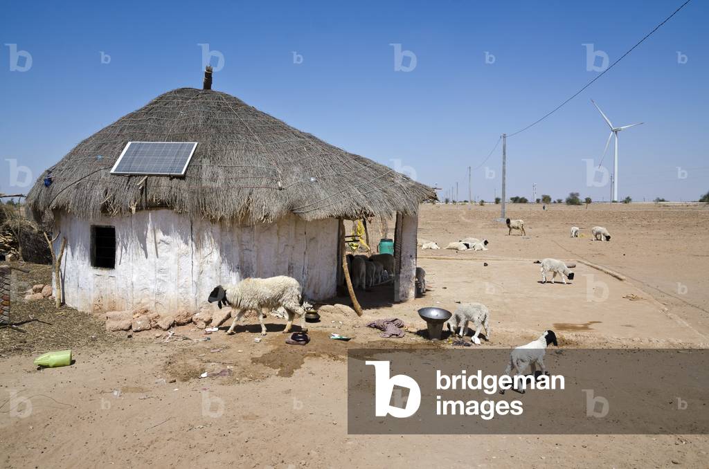 PV Solar panel on a traditional thatched hut in a Thar Desert hamlet with sheep and lambs, Bhikhsar, Rajasthan, India (photo)