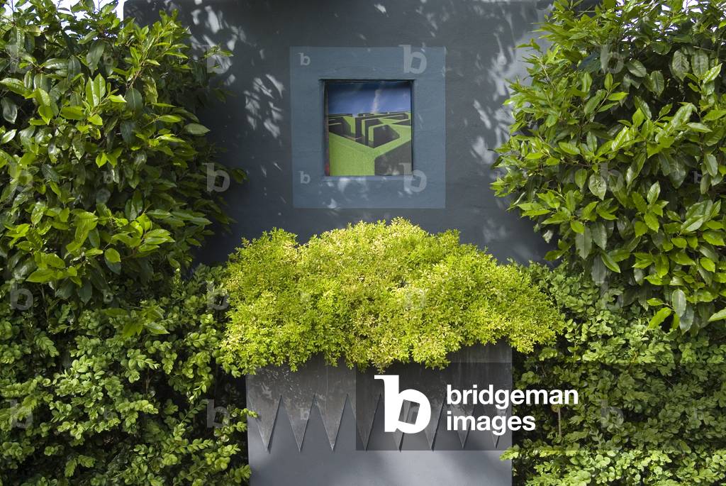 Trompe l'oeil 'window' on wall flanked by laurel hedge and box container, Tony Ridler's garden, Swansea, S.Wales, UK (photo)