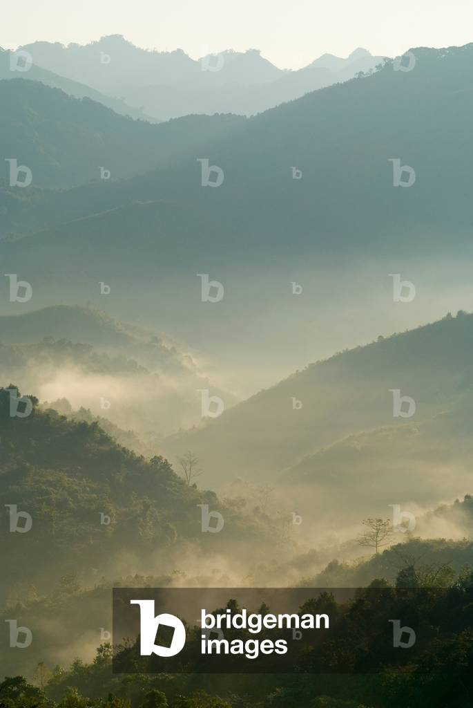 Montane tropical forest (rainforest) sunrise in the Annamite Range, clearing valley mist
Nonghet District, Xieng Khouang Province, Laos-Vietnam border (looking into Vietnam), Indochina, Southeast Asia