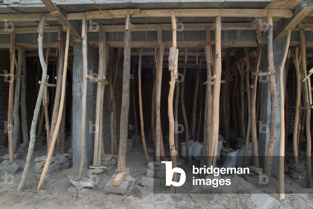 Poplar struts scaffolding, Leh (photo)