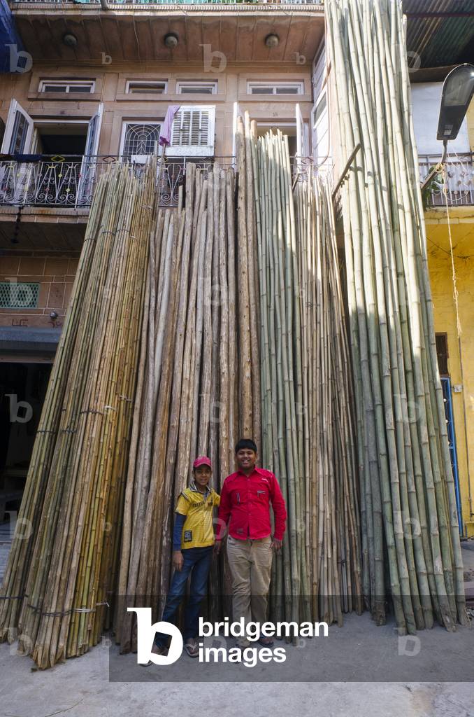 Two Indian boys posing in front of bunches of bamboo poles for building and construction,
Jodhpur, Rajasthan, India (photo)
