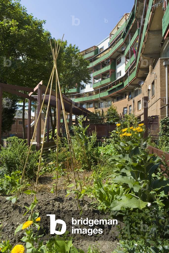 Urban Social Housing: Byker Wall council housing estate, Byker, Newcastle upon Tyne, Tyne & Wear, UK (photo)