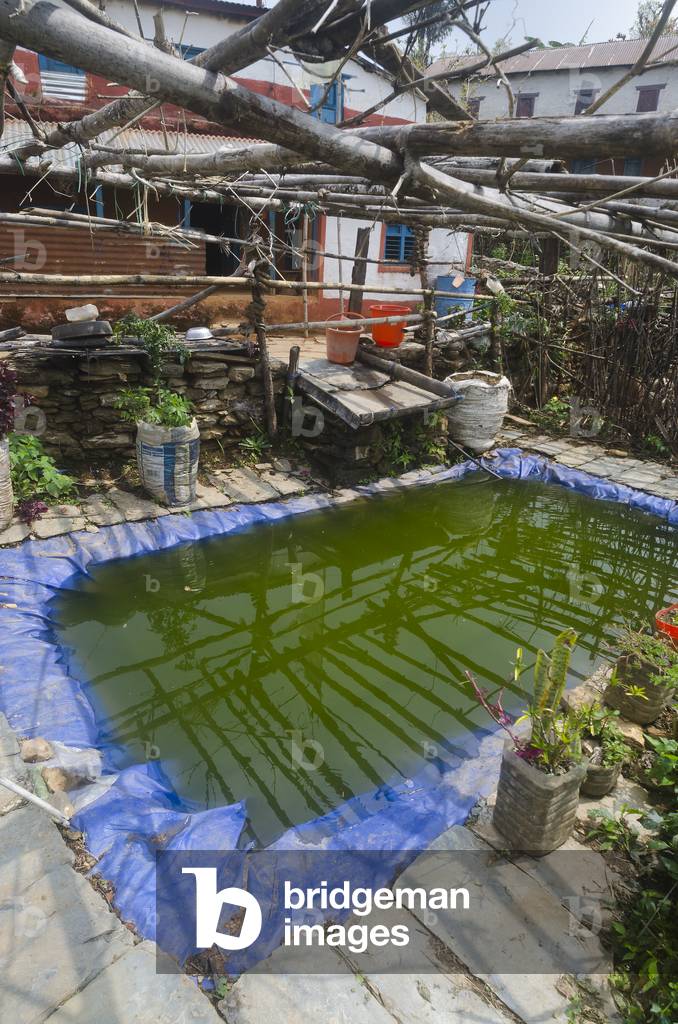Plastic pond in hillfarming village in Himalayan foothills, Majhthana, near Pokhara, Nepal (photo)