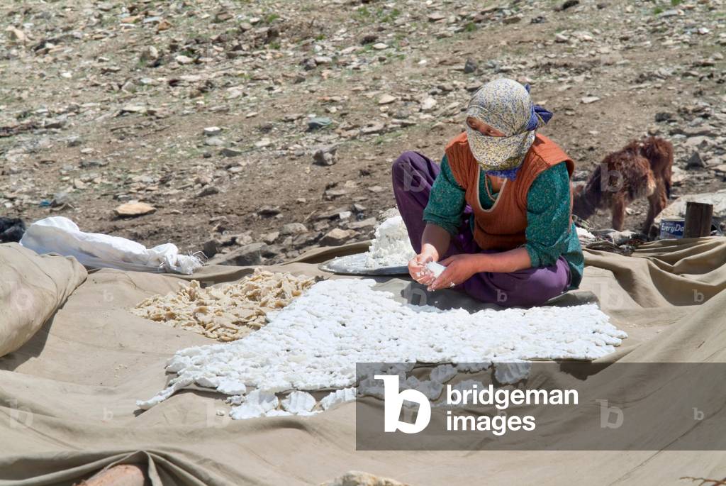 Woman (masked against sun) preparing yak cheese for drying on roof in cheesery nr. Pensi La Pass, Zanskar, Ladakh, Himalayas, Jammu and Kashmir, India (photo)