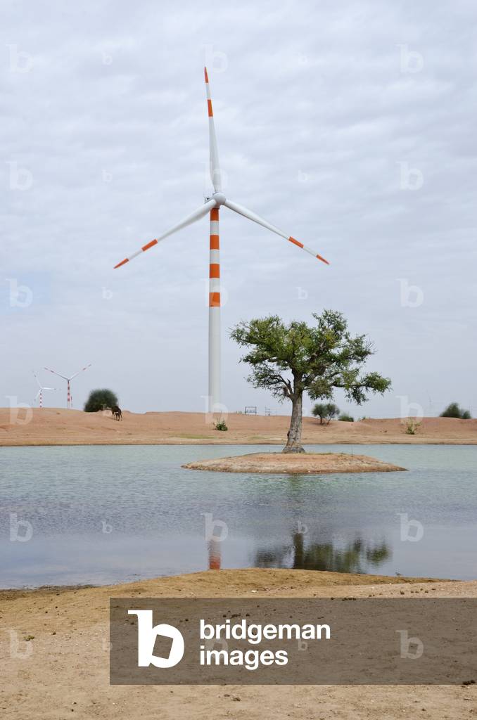 Wind turbines behind desert lake, Rajasthan, India(photo)