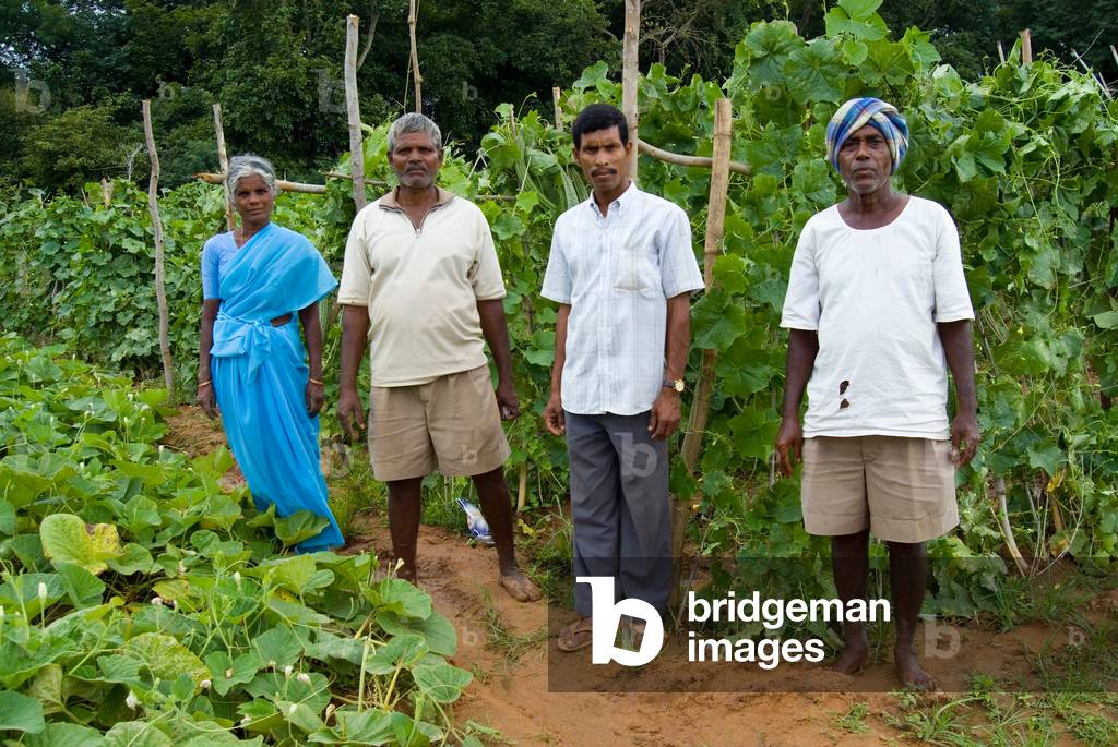 Group of fieldworkers on vegetable study plot at university of agricultural sciences (photo)