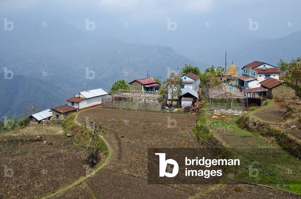 Nepali subsistence hillfarms and fields in Himalayan foothills, 
Majhthana, near Pokhara, Nepal (photo)