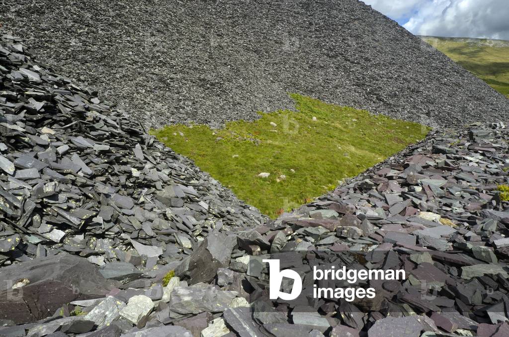 Square Green Field,
Dinorwic Quarry, Llanberis,
Snowdonia, Gwynedd, North Wales, UK (photo)