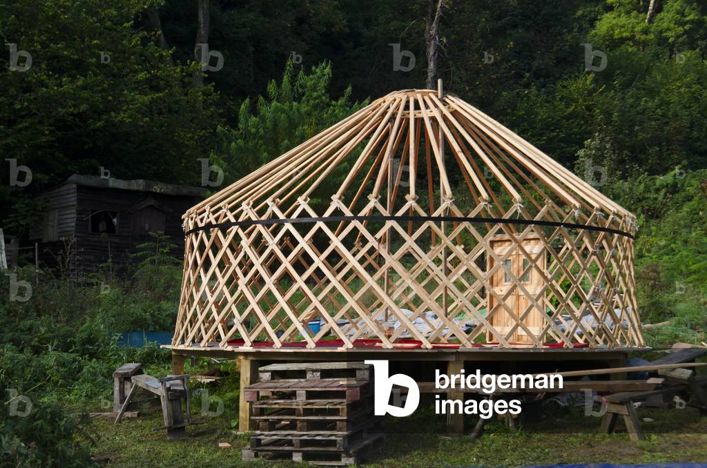 Wooden Lattice Frame and Door, South Wales, UK (photo)