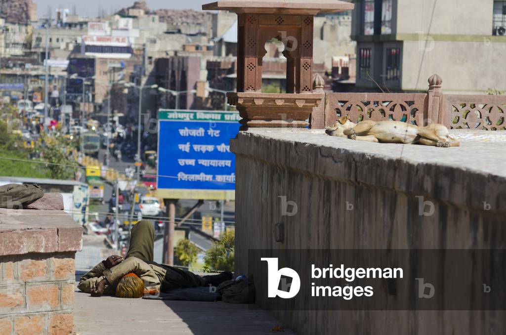 Homeless man and dog sleeping on rooftop above busy city street,
Jodhpur, Rajasthan, India (photo)