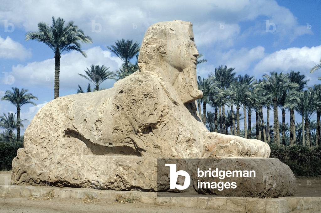 The Sphinx of Memphis, Egypt (photo)