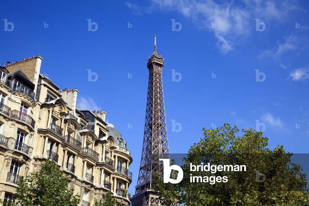 Eiffel Tower and Luxury Apartments in Paris (photo)