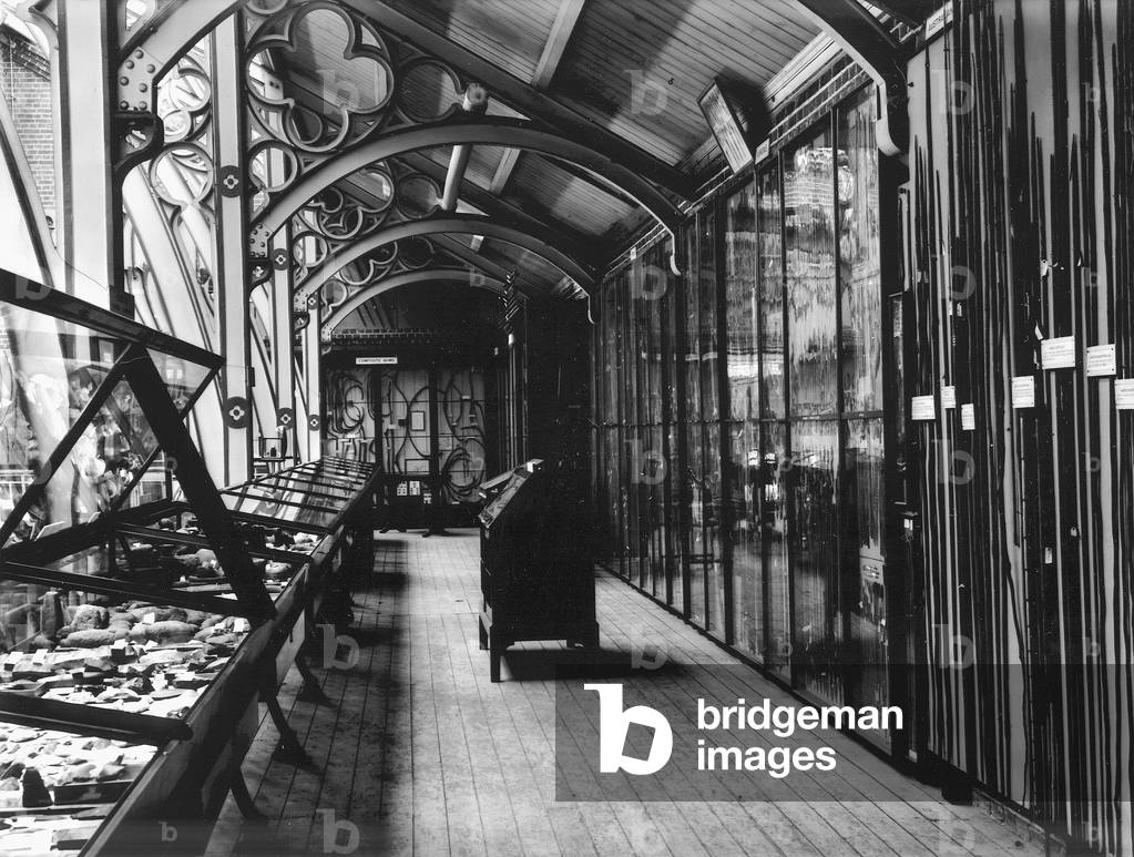 View of south side of upper gallery, looking east, toward 'composite bows' display at the Pitt Rivers Museum, c.1898-90 (b/w photo)