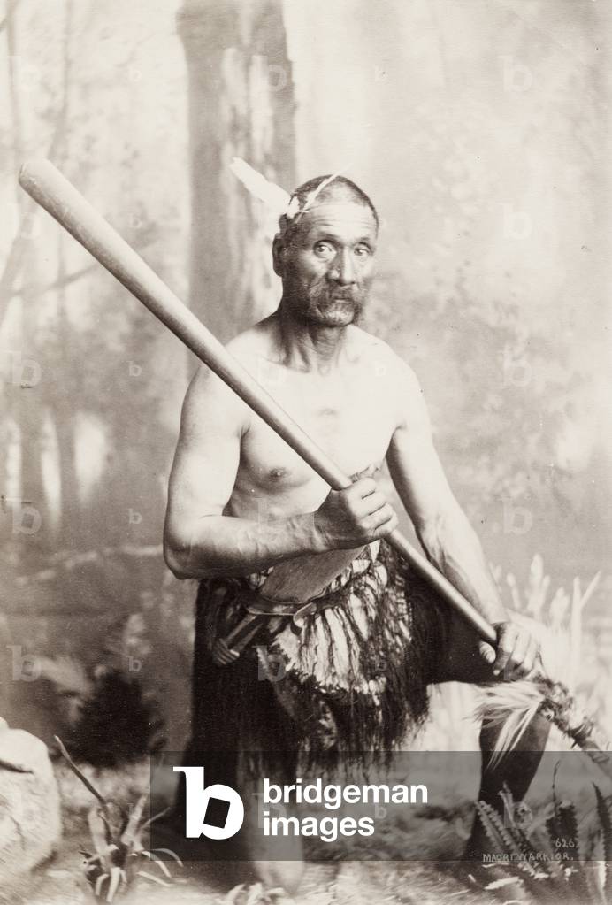 Portrait of a Maori Man, c.1885 (albumen print)