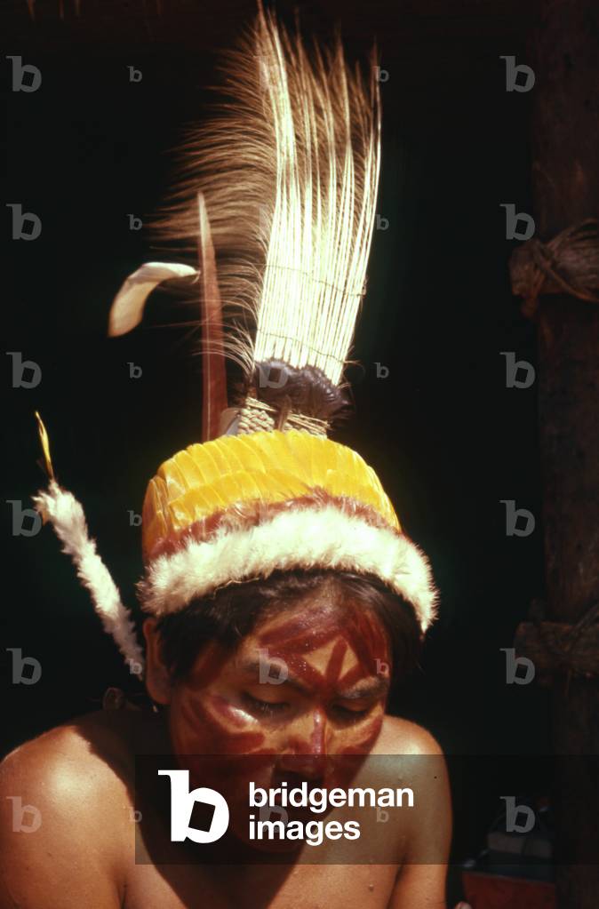 Tukano man wearing feather headdress, Piraparaná River, Vaupes department, Colombia, 1960-61 (photo)