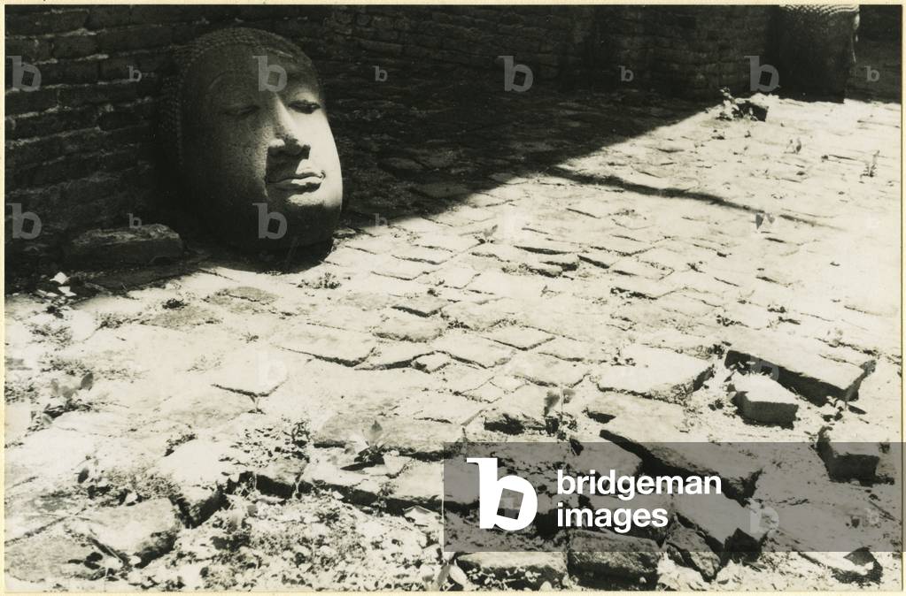 Stone head of the Buddha in the ruins of a temple at Ayutthaya, Thailand, 1937 (bromide print)