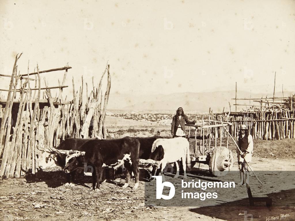 Two men standing with a large wooden cart, known locally as a carreta, being pulled by four oxen, c.1879-80 (albumen print)