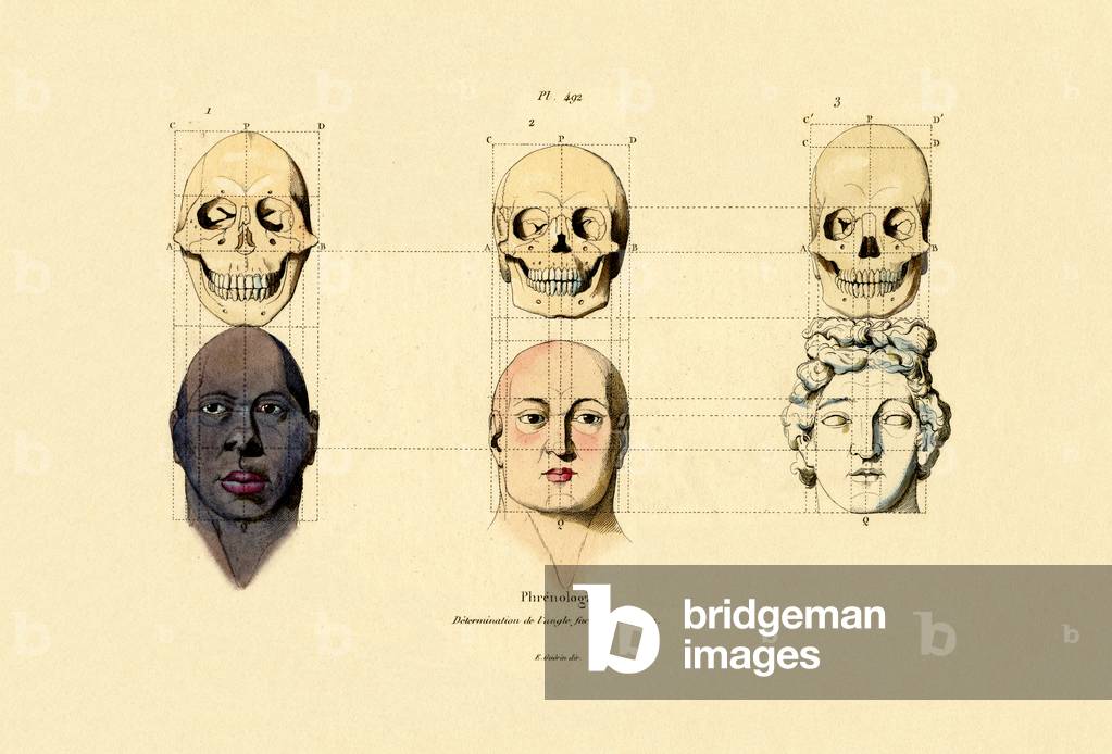 Phrenology, 1833-39 (coloured engraving)