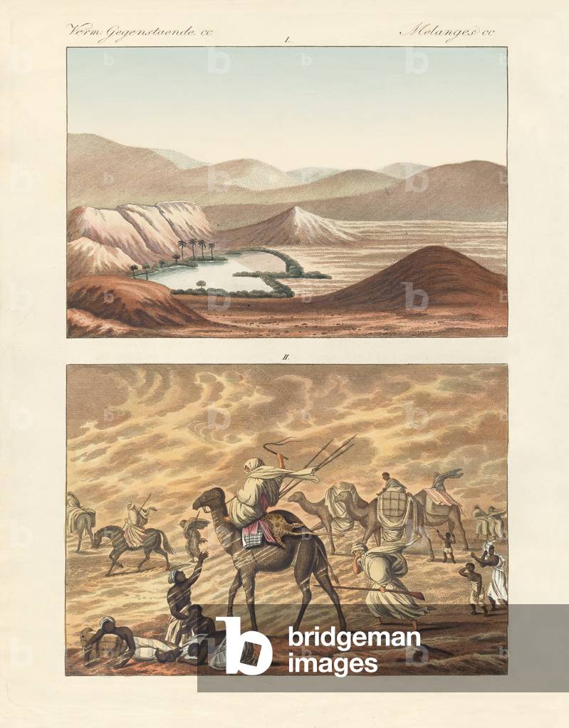 About the Sahara (coloured engraving)