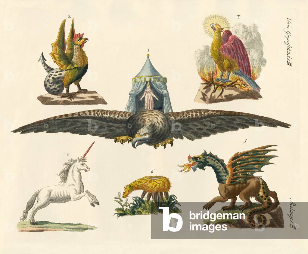Fabulous animals (coloured engraving)