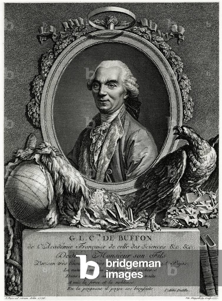 George Louis Leclerc Comte de Buffon, 1884-90 (phototype)